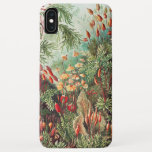 Case-Mate iPhone Case Mosses, Muscinae Laubmoose par Ernst Haeckel<br><div class="desc">Muscinae Laubmoose par Ernst Haeckel Plantes Vintages</div>