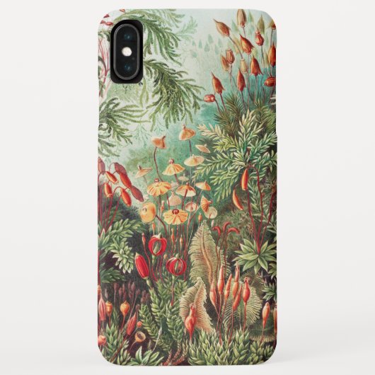 Coques Case-Mate iPhone Mosses, Muscinae Laubmoose par Ernst Haeckel (Dos)