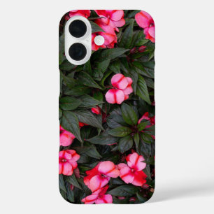 Coques iPhone 16 Motif de fleurs d'impatiens de Nouvelle-Guinée ros