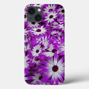 Etui iPhone 13 Motif floral, Jardins de Kuekenhof, Lisse,