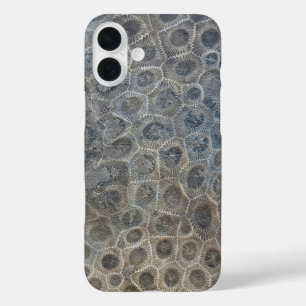 Coques iPhone 16 Plus Motif Petoskey Stone