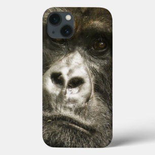 Etui iPhone Case-Mate Mountain Gorilla, Gorilla beringei beringei,