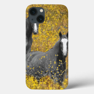iPhone 13 Case Moutarde et chevaux
