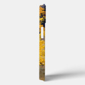 Coques Case-Mate iPhone Mouton sur Country Road (Verso / Droite)