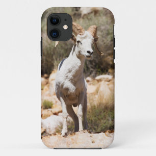 Coques Pour iPhone Moutons blancs de la famille