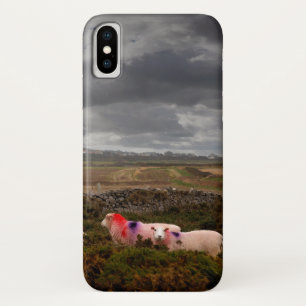 Case-Mate iPhone Case Moutons colorés