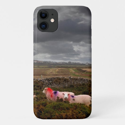 Coques Case-Mate iPhone Moutons colorés (Dos)