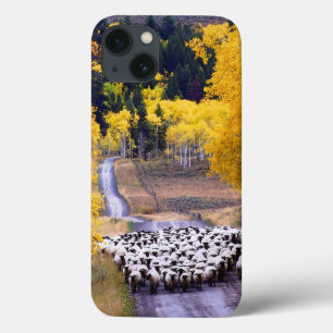 iPhone 13 Case Moutons sur la route de campagne