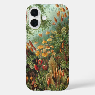 Coques iPhone 16 Muscinae vintage, plantes de mousse par Ernst Haec