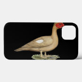 Coques Case-Mate iPhone Muscovy light chocolate drake (Verso (horizontal))
