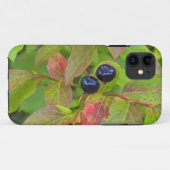 Coques Case-Mate iPhone Myrtille mûre dans le Flathead National (Dos (Horizontal))