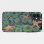 Coques Case-Mate iPhone N.A., États-Unis, Washington, Parc National Olympi (Dos (Horizontal))