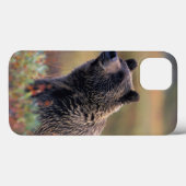 Coques Case-Mate iPhone Na, Etats-Unis, Alaska, Denali NP, ours gris (Verso (horizontal))