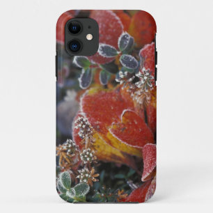 Coques Pour iPhone NA, États-Unis, Alaska, Parc national Denali givré