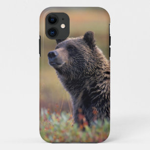 Etui iPhone Case-Mate NA, États-Unis, Alaska, Parc national Denali, Ours