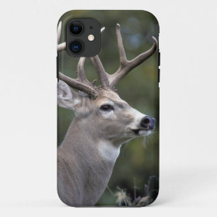 Coques Pour iPhone NA, États-Unis, État de Washington, Cerf à queue b