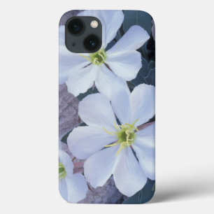 iPhone 13 Case NA, États-Unis, Utah, Parc national des Arches, On