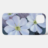 Coques Case-Mate iPhone NA, USA, Utah, Arches NP, Soirée primrose (Verso (horizontal))