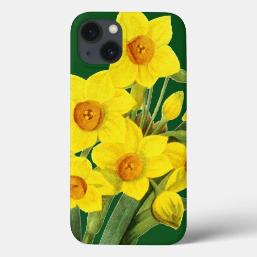 Coques Case-Mate iPhone Narcisse (N Tazetta) (Verso)