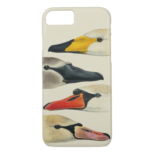Coques Case-Mate iPhone Nature Les multiples visages d'un cygne (Dos)