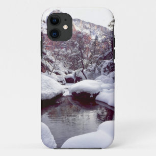 Etui iPhone Case-Mate Neige épaisse à Middle Emerald Pools