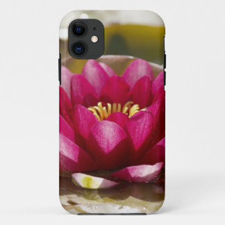 Coque iPhone 11 Nénuphar