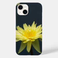 Nénuphar Lotus jaune