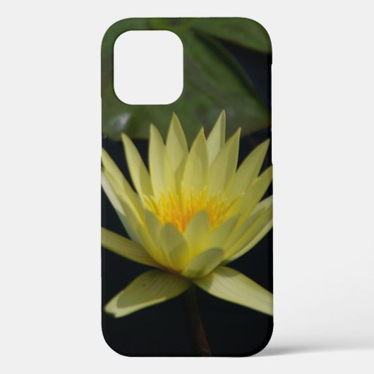 Coques Case-Mate iPhone Nénuphar Lotus jaune (Verso)