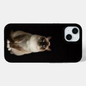 Coques Case-Mate iPhone Noir 4 Luxe, Chat Birman iPhone 15 Plus (Verso (horizontal))