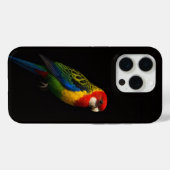 Coques Case-Mate iPhone Noir 4 Luxe iPhone 15 Pro Mate, Rosella orientale (Verso (horizontal))