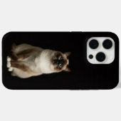 Coques Case-Mate iPhone Noir 4 Luxe iPhone 15 Pro Max, Chat Birman (Verso (horizontal))