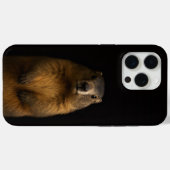 Coques Case-Mate iPhone Noir 4 Luxe iPhone 15 Pro Max, Marmotte Fluffy (Verso (horizontal))