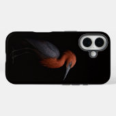 Coques Case-Mate iPhone Noir 4 Luxe iPhone 16 Mate, Aigrette Roussâtre (Verso (horizontal))