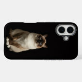 Coques Case-Mate iPhone Noir 4 Luxe iPhone 16 Mate, Chat Birman (Verso (horizontal))