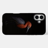 Coques Case-Mate iPhone Noir 4 Luxe iPhone 16 Plus, Aigrette rousse (Verso (horizontal))