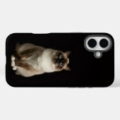 Coques Case-Mate iPhone Noir 4 Luxe iPhone 16 Plus, Chat Birman (Verso (horizontal))