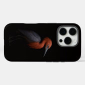 Coques Case-Mate iPhone Noir 4 Luxe iPhone 16 Pro, Aigrette Rouchie (Verso (horizontal))