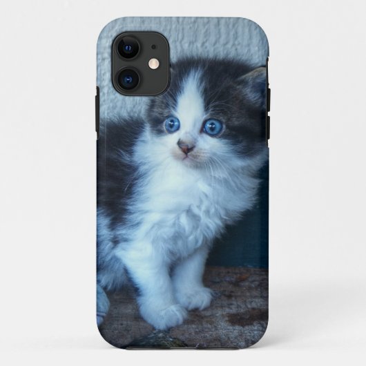 Coques Case-Mate iPhone Noir + Kitten blanc (Dos)