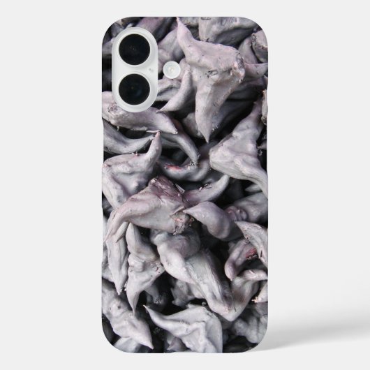 Coques Case-Mate iPhone Noix de buffle - Water Caltrop (Verso)