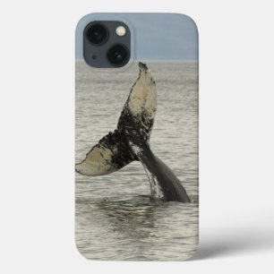 Coques Pour iPhone North America, USA, AK, Inside Passage. Humpback