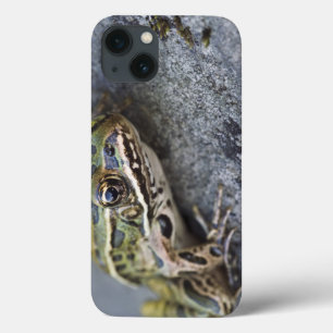 Coques Pour iPhone Northern Leopard frog, See-through Island,