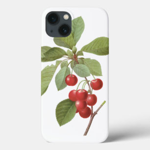Case-Mate iPhone Case Nourriture de cerise de fruit vintage, cerises par