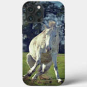 Coques Case-Mate iPhone Nouvelle Forêt White Pony Funny Pose (Verso)
