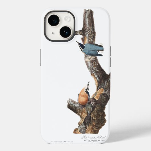 Coques Case-Mate iPhone Nuthatch à poitrine rouge Audobon (Verso)