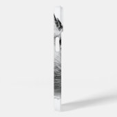 Coques Case-Mate iPhone Nuthatch White Bird Photography (Verso / Droite)