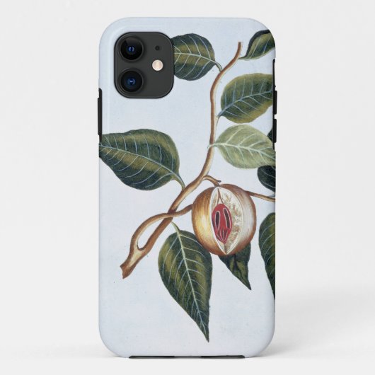 Coques Case-Mate iPhone Nutmeg, assiette 7, de la collection Precieuse et  (Dos)