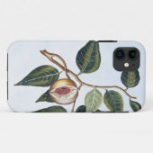 Coques Case-Mate iPhone Nutmeg, assiette 7, de la collection Precieuse et  (Dos (Horizontal))