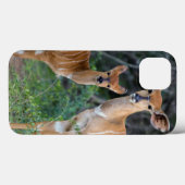 Coques Case-Mate iPhone Nyala (Tragelaphus Angazii) avec des jeunes, Ndumo (Verso (horizontal))