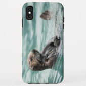 Coques Case-Mate iPhone Observation de la Loupe de mer (Dos)