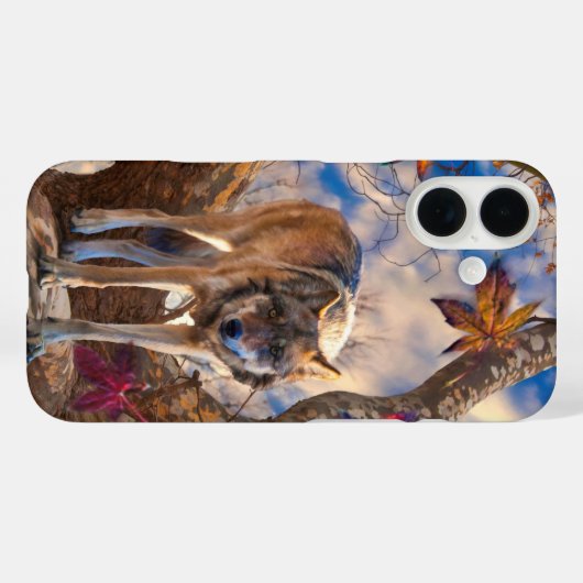 COQUES Case-Mate iPhone OBSERVATOIRE WOLF AUTOMNE (Verso (horizontal))